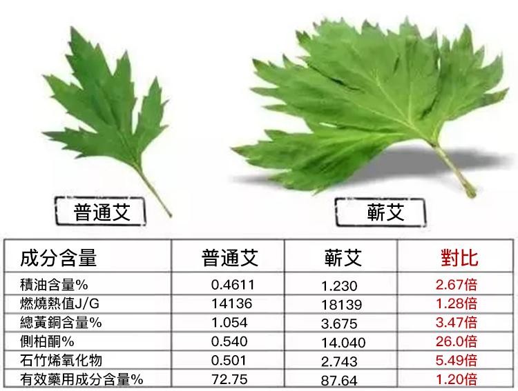 1682321786732184.jpg